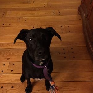 Meet your Posher, Keith